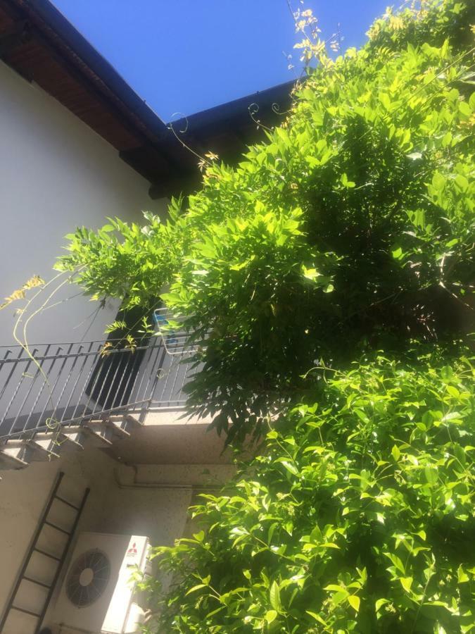 Delizioso Appartamento In Corte Vittuone Екстер'єр фото